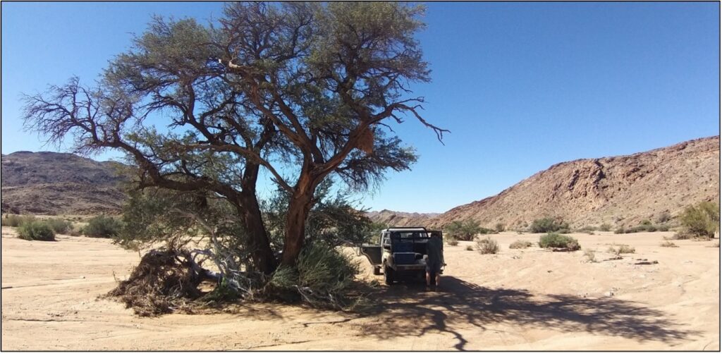 Lunch time in a dry river bed.